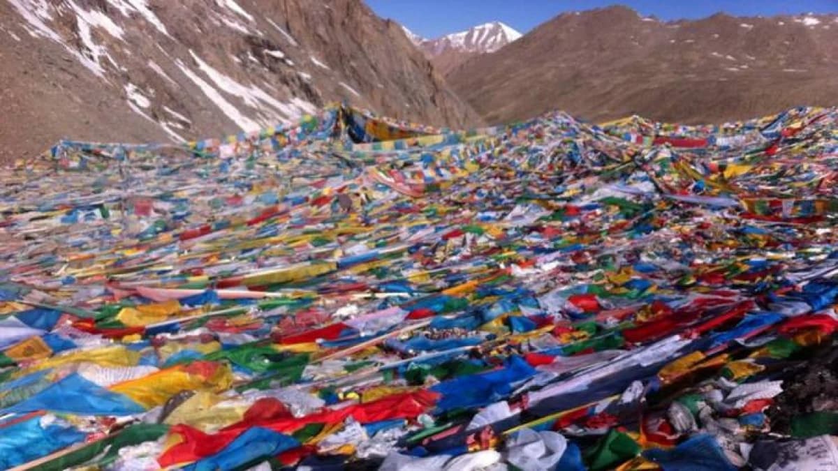 group-joining-tour-to-kailash